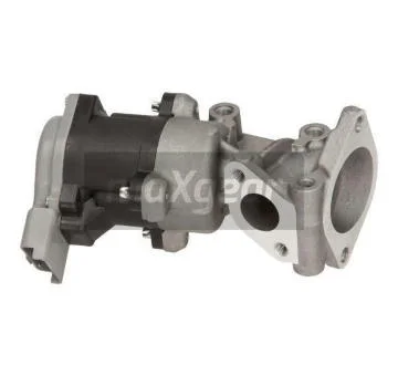 elancar-120260701013916663856