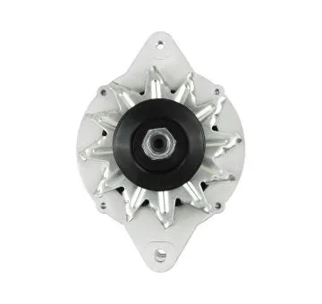 elancar-120260701054509757983
