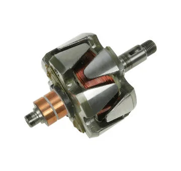 elancar-120260701065142781335