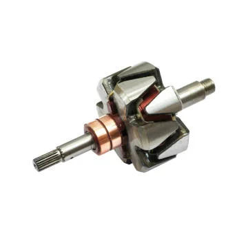 elancar-120260701065238781706