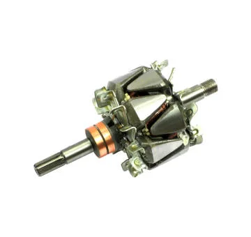 elancar-120260701065252781802