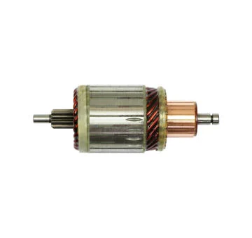 elancar-120260701082620816124