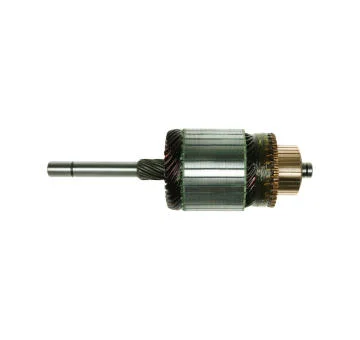 elancar-120260701082710816386