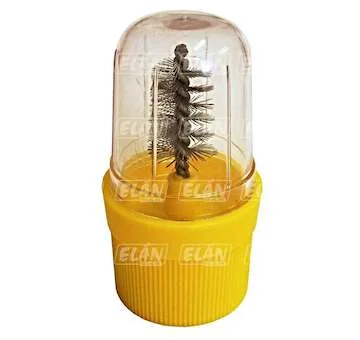 elancar-220260630160610461791