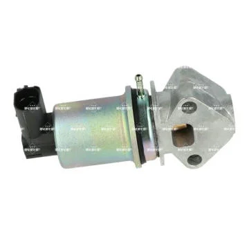 elancar-420260630214617576544