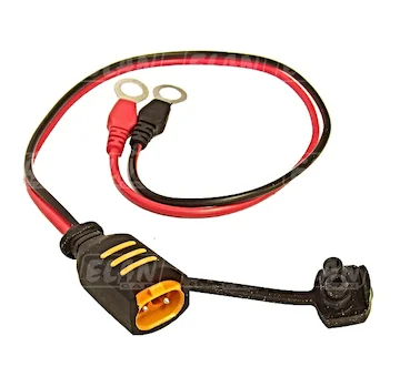 elancar-620260630234129621171