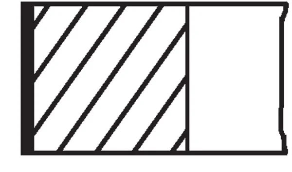 motora-620260630172505481445