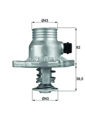 motora-620260630204046553397