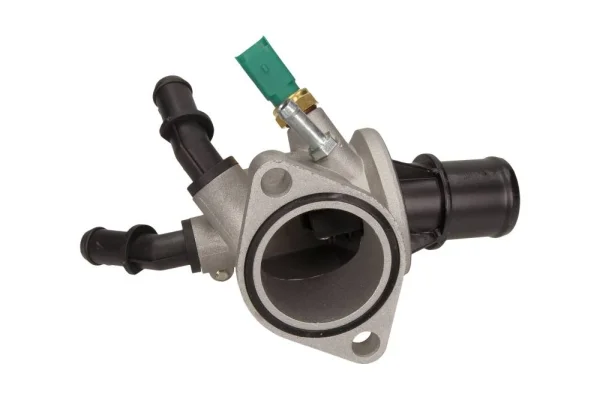 motora-620260630235218625696