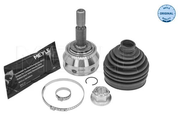 motora-620260701015504669033
