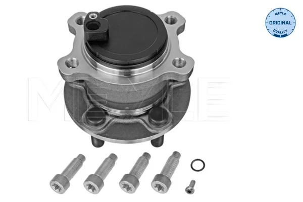 motora-620260701020525672922