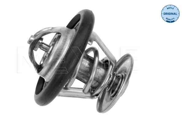motora-620260701020701673532