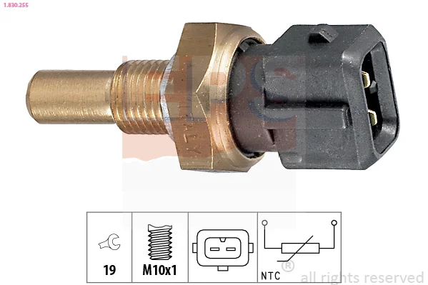 motora-620260701025853691056