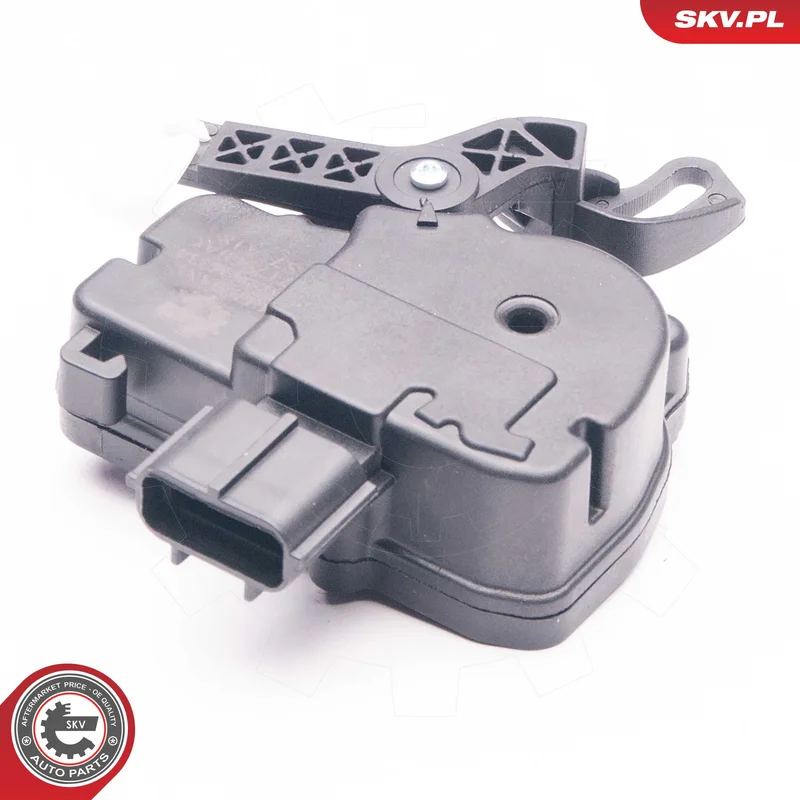 motora-620260701033010702390