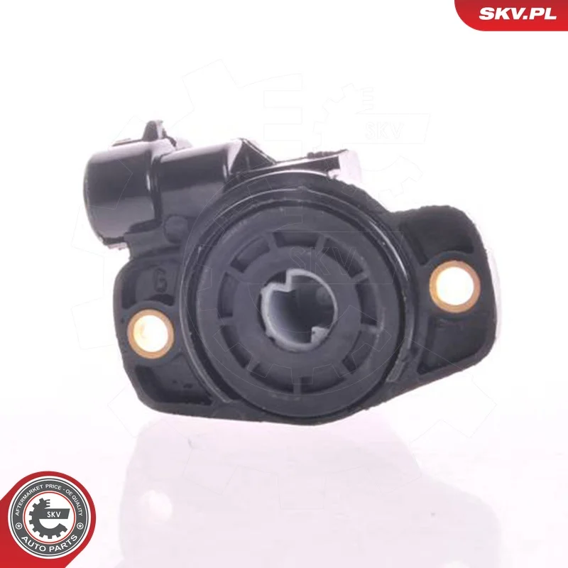 motora-620260701033500704523