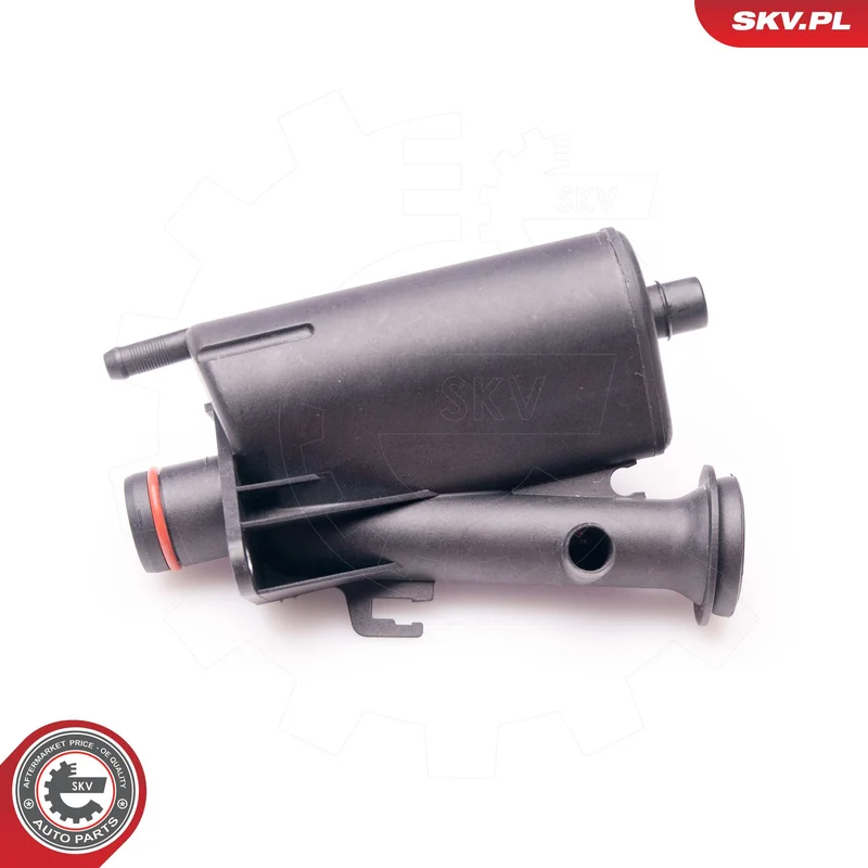motora-620260701050701743059