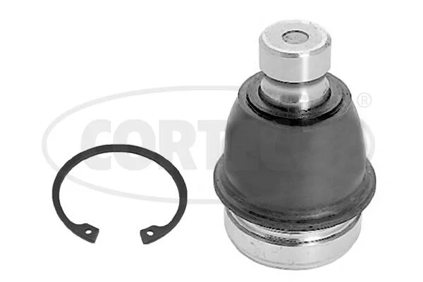 motora-620260701053244753225