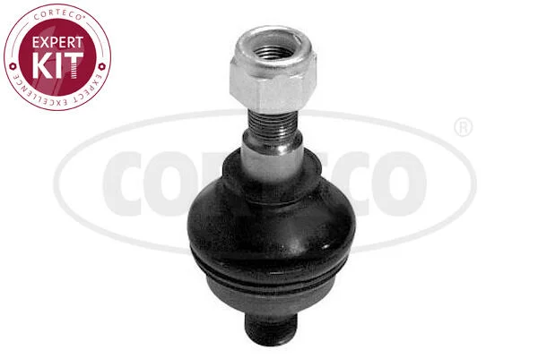 motora-620260701054147756707