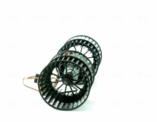 motora-620260701060852765876