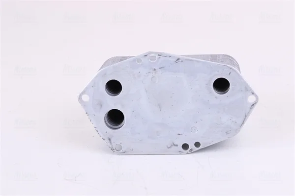 motora-620260701070500786089